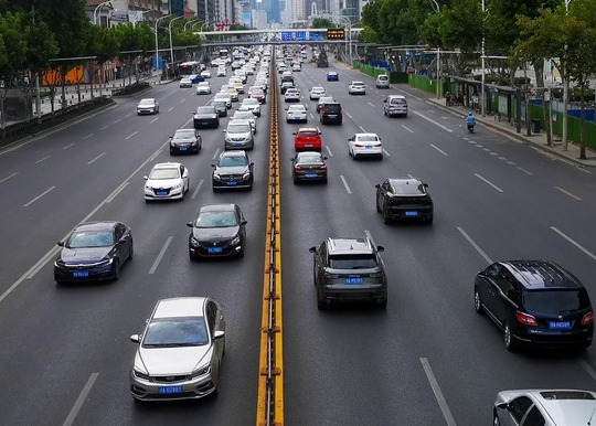 桌臺式面條機你見過嗎？為啥使人不敢行前？