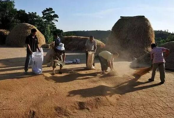 年輕人花拳繡腿，吹噓用包子機可以做老面包子？