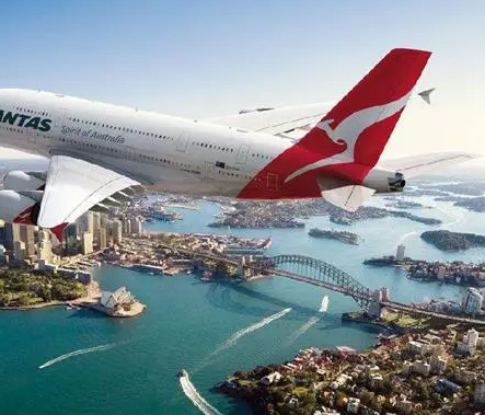 用什么樣的包子機可以做速凍包子？