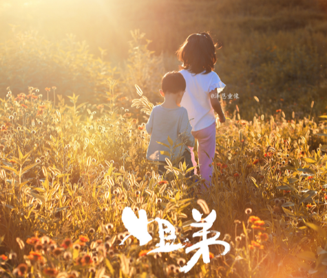 到底是一臺什么樣的餃子機可以讓老鐵下崗？