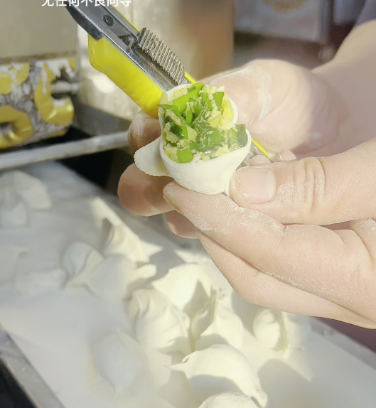 為啥有些餃子機可以包素餡，有些包不了？