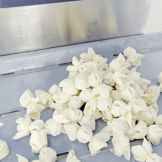 多功能小魚混沌機